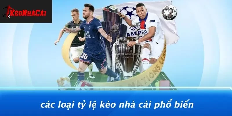Các Loại Tỷ Lệ Kèo Nhà Cái Phổ Biến