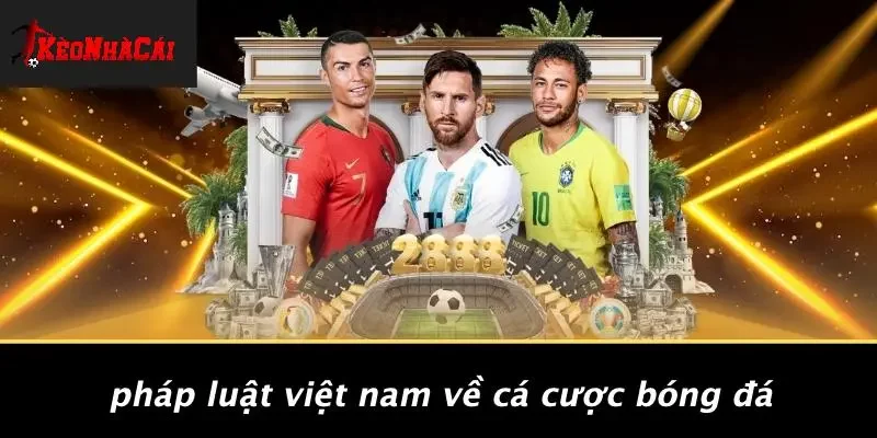 Pháp Luật Việt Nam Về Cá Cược Bóng Đá